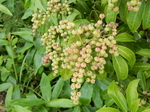 DSCN2547.JPG
