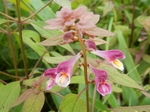 DSCN2549.JPG