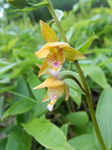 DSCN2561.JPG