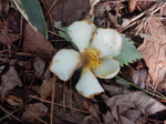 DSCN2566.JPG