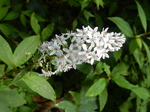 DSCN2569.JPG