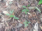 DSCN2575.JPG