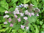 DSCN2591.JPG