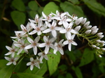 DSCN2592.JPG