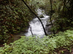 DSCN2593.JPG
