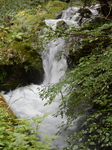 DSCN2595.JPG