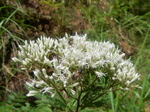 DSCN2607.JPG