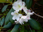 DSCN2625.JPG