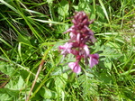 DSCN2626.JPG