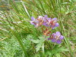 DSCN2627.JPG