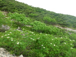 DSCN2640.JPG