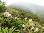 DSCN2641.JPG