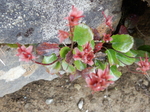 DSCN2644.JPG