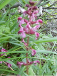 DSCN2647.JPG