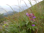 DSCN2652.JPG