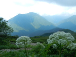 DSCN2656.JPG