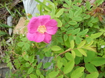 DSCN2668.JPG