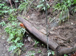 DSCN2675.JPG