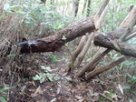 DSCN2678.JPG