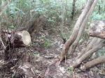 DSCN2679.JPG