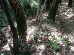 DSCN2681.JPG