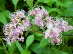 DSCN2685.JPG
