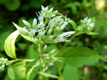 DSCN2686.JPG