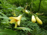 DSCN2695.JPG