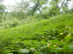 DSCN2699.JPG