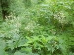 DSCN2708.JPG