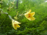 DSCN2712.JPG