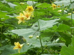 DSCN2728.JPG
