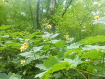 DSCN2729.JPG