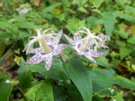 DSCN2742.JPG
