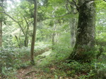 DSCN2745.JPG