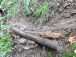 DSCN2747.JPG