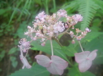 DSCN2752.JPG