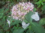DSCN2756.JPG