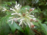 DSCN2758.JPG