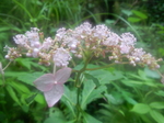 DSCN2761.JPG
