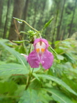 DSCN2763.JPG