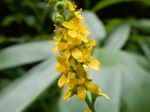 DSCN2767.JPG