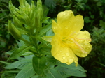 DSCN2801.JPG