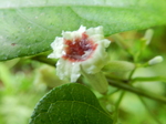 DSCN2802.JPG