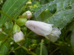 DSCN2807.JPG