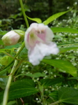 DSCN2811.JPG