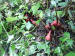 DSCN2814.JPG
