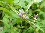 DSCN2825.JPG