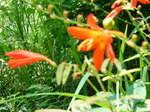 DSCN3194.JPG