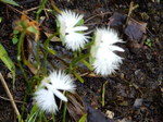DSCN3195.JPG
